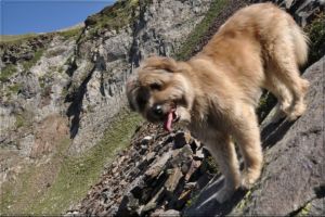 En descendant du col d'Oncet