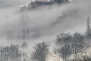 L'abbaye de St Savin