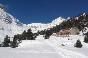 refuge