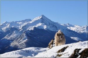 Le pic du Midi d'Arrens
