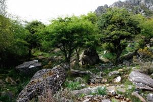 Source sur le flanc de l'Atxuria