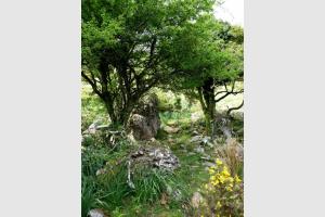 Source sur le flanc de l'Atxuria