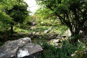 Source sur le flanc de l'Atxuria