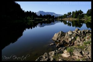 Rives du lac Achard