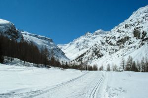 Balade dans le parc du Gran Paradiso 4