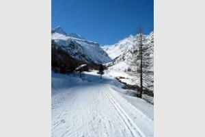 Balade dans le parc du Gran Paradiso 7
