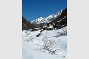 Balade dans le parc du Gran Paradiso 8