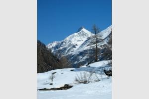 Balade dans le parc du Gran Paradiso 10