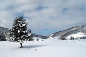 Randonne en raquettes  neige  Payolle