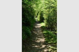 Sentier VTT