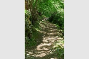 Toujours le sentier