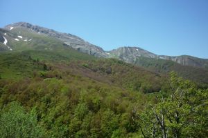 Pic d'Orhy