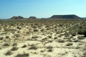 Dsert des Bardenas Reales - 3