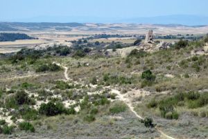 Sentier de VTT dans le dsert des Bardenas Reales