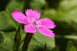Macro 2009 - 10