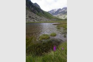 Lac de Cestrde