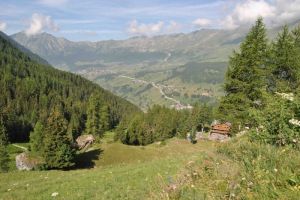 Panorama