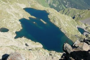 Sauvegarde : lac de la Montagnette