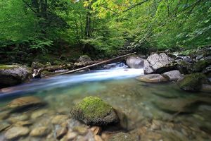Rivire au dessus de Cauterets