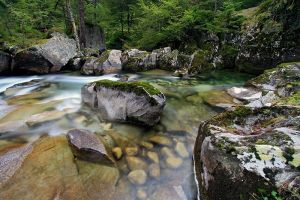 Rivire entre Cauterets et le Pont d'Espagne