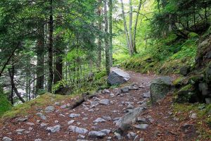 Chemin des cascades
