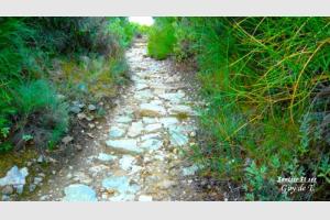 Chemin de la Chapelle ST SER