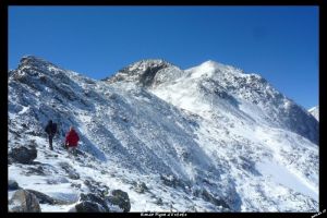 pique d'estats