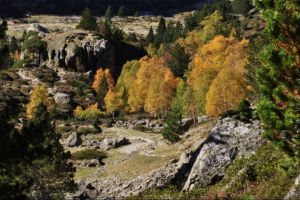 En descendant la valle du Bastan