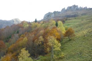 Le Lauriolle