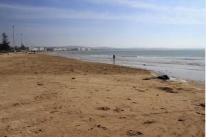 Plage d'Essaouira