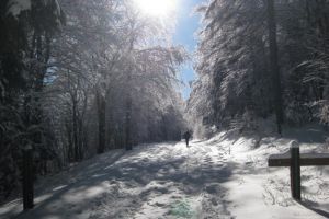 dpart col du Minier