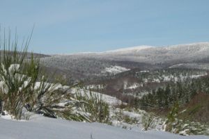 massif de l'Aigoual