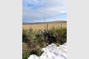 Randonne plateau de l'Aubrac