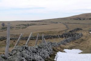 Sur l'Aubrac