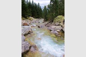 Ruisseau et cascade