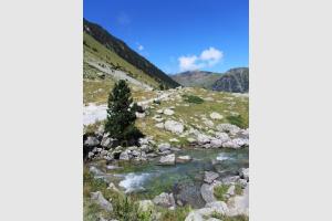 Ruisseau  ct du Lac de Gaube