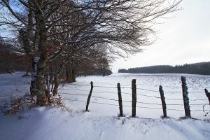 Neige sur le plateau de l'Aubrac