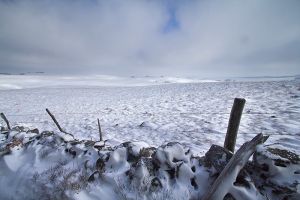 Neige et vent sur le plateau de l'Aubrac