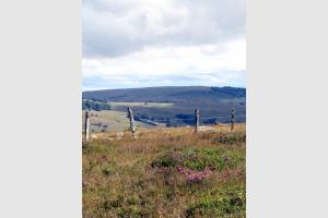 Randonne sur Aubrac