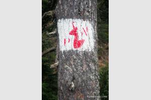 Marquage du Parc National des Pyrnes