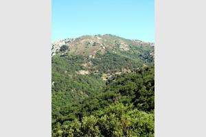 Canyoning et Descentes en rappel au Massif du Caroux - Espinouse en Haut Languedoc Miniature