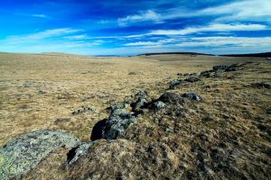 Terres d'Aubrac
