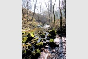 Balade au Domaine de Combelles, près de Rodez en randonnée Miniature