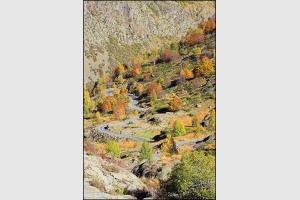 Route qui monte au barrage des Gloriettes