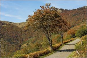 Route qui monte au col d'Aspin