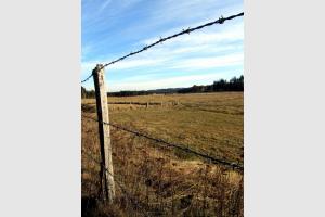 Randonne Aumont Aubrac en Lozre