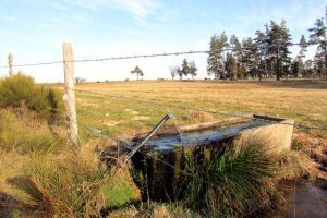 Randonne Aubrac en Lozre