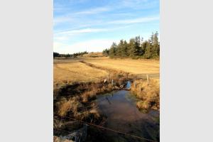 Randonne Aubrac en Lozre