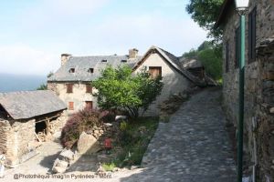 Mont