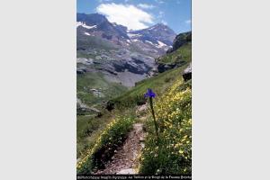 Le Taillon et le Doigt de la Fausse Brche